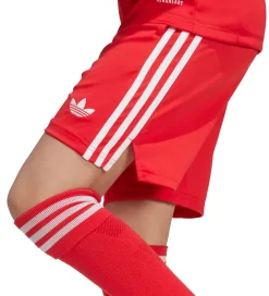Shorts - FC Bayern München 25/26 - Pure Ruby|adidas Originals Sale