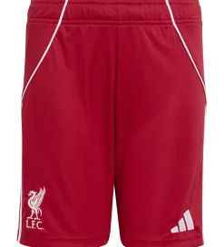 Shorts - Liverpool 25/26 Hjemmebane - Strred|adidas Performance Hot