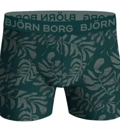 Boxershorts - 5-Pak - Multipack|Björn Borg