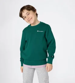 Sweatshirt - Forest Peak Green|Champion New