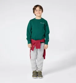 Sweatshirt - Forest Peak Green|Champion New