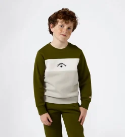 Sweatshirt - Immersive Olive|Champion Best