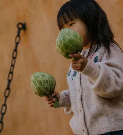 Cardigan - Strik - Uld/Nylon - Star - Peach Whip|Fliink Outlet