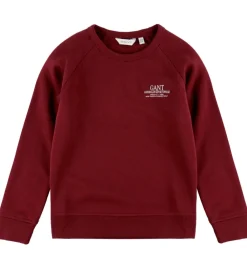 Sweatshirt - Graphic - Plumped Red|GANT Hot