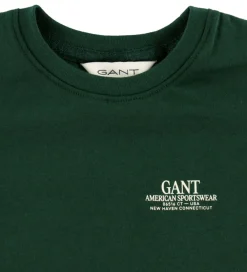 T-shirt - Graphic - Tartan Green|GANT Clearance