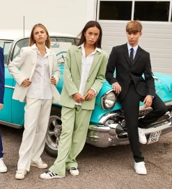 Bukser - Støvet Grøn|Hound Discount