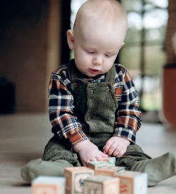 Skjortebody - HCBertil - More Navy m. Tern|Hust and Claire Hot