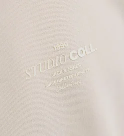 Sweatshirt - JjJin - Moonbeam|Jack & Jones Clearance