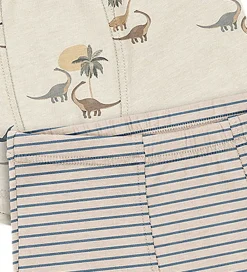 Boxershorts - 2-pak - Gots - Kubi/Stripe Bluie|Konges Sløjd Best