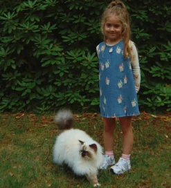 Spencer - Magot - Bow Kitty Denim|Konges Sløjd Online