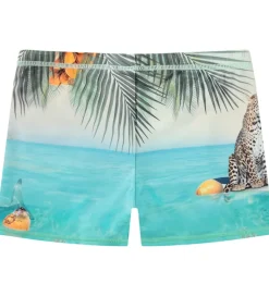 Badebukser - UV50+ - Norton Placed - Leo On Surf|Molo Best