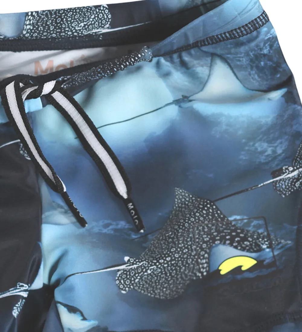 Badebukser - UV50+ - Norton - Into The Blue|Molo Best