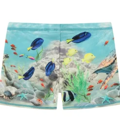 Badebukser - UV50+ - Norton Placed - Happy Ocean|Molo Hot