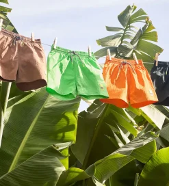 Badeshorts - UV50+ - Niko Solid - Green Vibes|Molo New