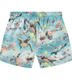 Badeshorts - UV50+ - Niko - Marine Turtles|Molo Outlet
