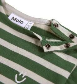 Heldragt - Flint - Pine Stripe|Molo Best