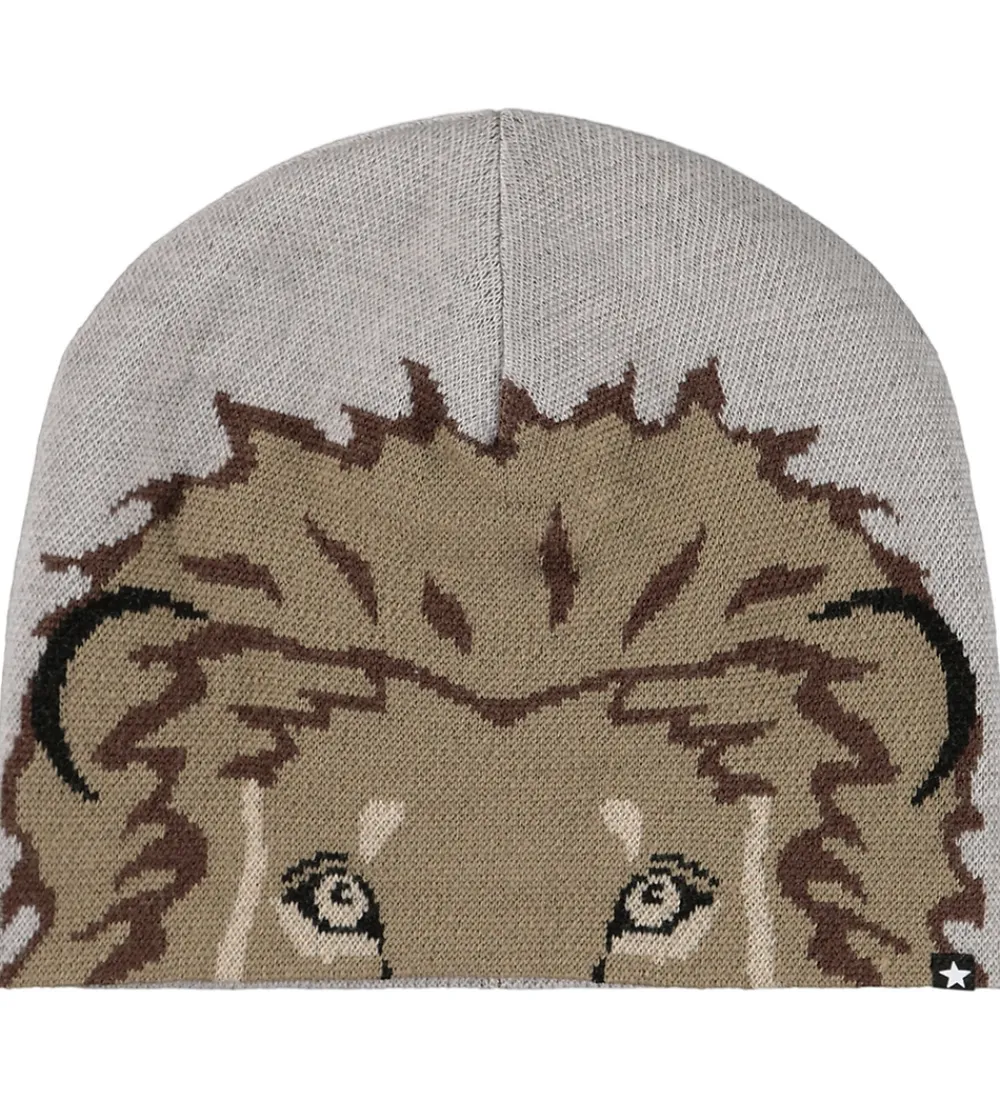 Hue m. Tube - Kleo - Uld/Akryl - Lion Face|Molo Best