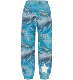 Regnbukser - Waits - Big Ancient Sea|Molo New