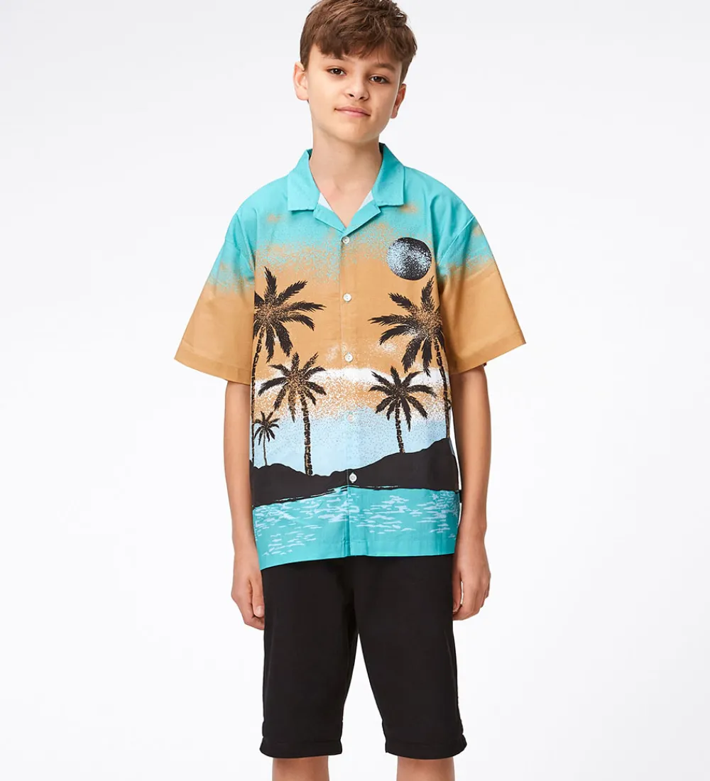 Shorts - Alan - Sort|Molo Sale