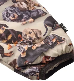 Skibukser - Percy - Dashshund Soft|Molo Online