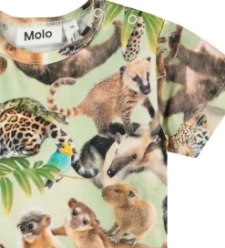 Sommerdragt - Finn - Jungle Cubs|Molo Best