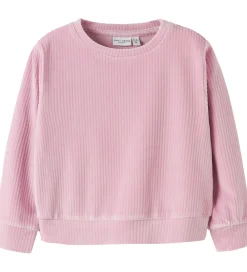 Bluse - Fløjlsvelour - Cropped - NmfVeloa - Keepsake Lil|Name It Hot