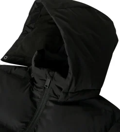 Dynejakke - NmfMusk - Black|Name It Online