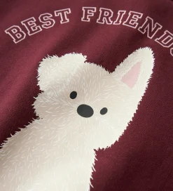 Sweatshirt - NmfViloui - Burgundy/ Best Friend Club|Name It