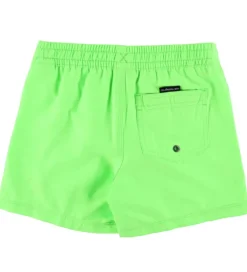 Badeshorts - Everyday - Green Gecko|Quiksilver