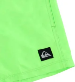 Badeshorts - Everyday - Green Gecko|Quiksilver