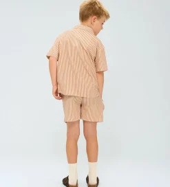 Skjorte - TnOllie - Indian Tan Striped|The New Hot